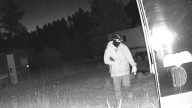 Campers Creeped-Out By ‘Weird’ Masked Bandit Around Campsite In Bighorn Mountains