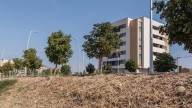León capital construirá 190 viviendas en los barrios