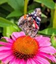 Photo of the Week