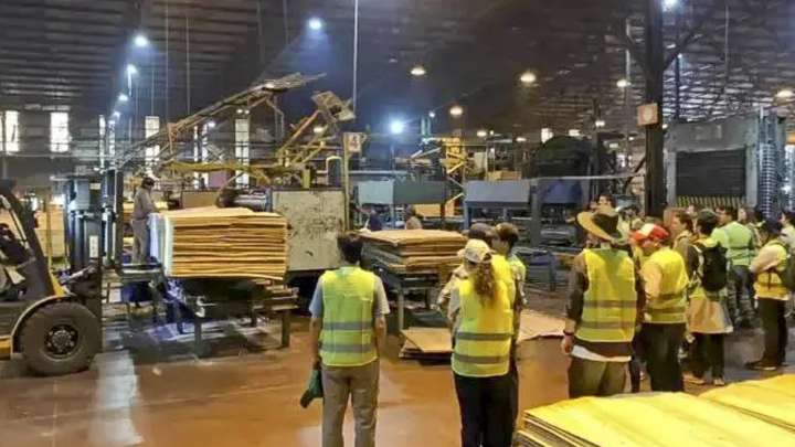 La principal maderera de Corrientes paraliza su actividad y suspende a 520 trabajadores
