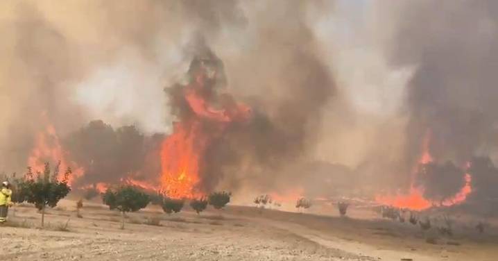 Los medios áereos del Infoca combaten el incendio forestal en Benamaurel