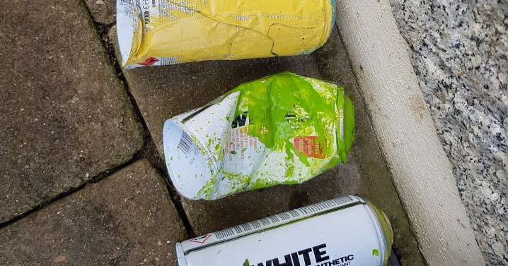 Police hunt Plymouth 'tagger' who has caused thousands of pounds of damage