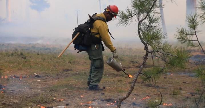 2 firefighters battling Washington state wildfire arrested by Border Patrol