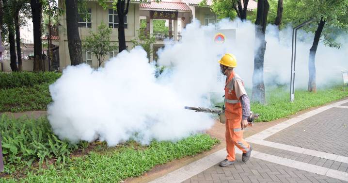 Chikungunya: Everything we know about the deadly virus sweeping through China