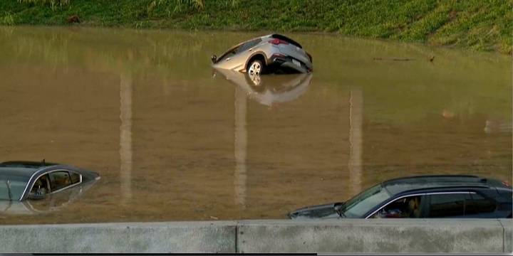 Parents and child killed when tree falls on car as heavy rain and flooding hit Tennessee