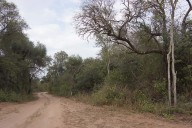 Simposio NEO NEA Ciencia: conservacionista abogó por la participación social para conservar la biodiversidad del Chaco Seco