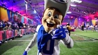 Ranking all 32 NFL teams' mascots by how likely they are to win in a fight