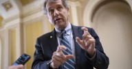 Ohio Democrat Sherrod Brown makes it official, he'll vie to unseat Trump