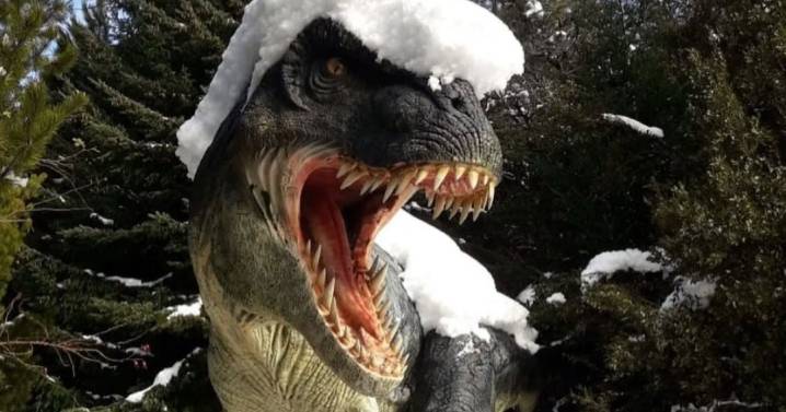 Un bosque de gigantes en Bariloche: dinosaurios en la nieve y un paseo mágico para hacer con chicos
