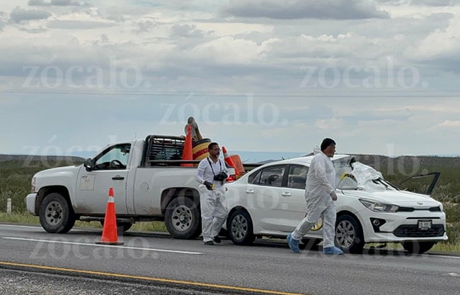 Pierde la vida conductor tras esquivar vaca y chocar contra camioneta en carretera Saltillo