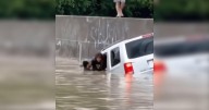 EPB employee caught on camera saving woman trapped in SUV by interstate flooding