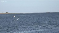 Body of missing boy in CT found by civilian boaters in Housatonic River