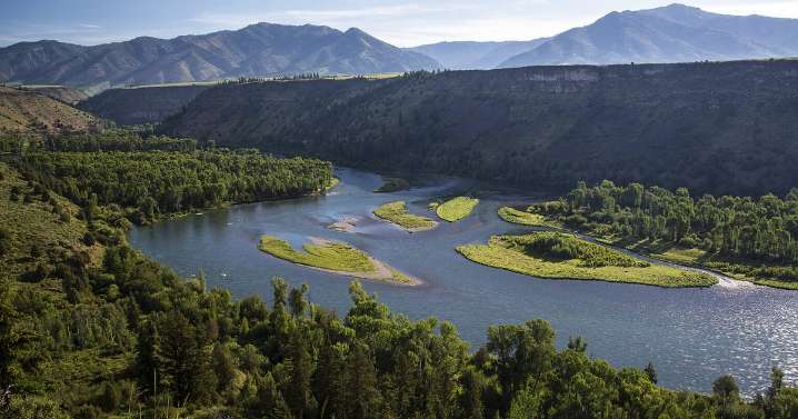 Idaho: Settlement protects most Idaho water users from curtailment