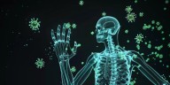 Por qué el sistema inmunitario es la pieza clave de la medicina personalizada para vivir más y mejor
