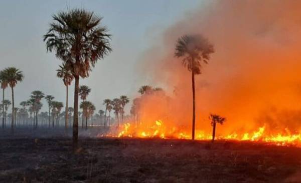 Desastre ambiental en el Parque Nacional Río Pilcomayo y Nación sin respuesta