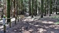 Permitido el tránsito por senderos de municipios del norte de Tenerife desde este sábado