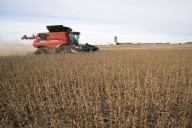 China says 'rampant' US protectionism threatens agricultural ties