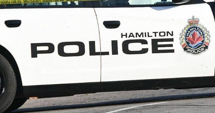 Hamilton police probing vehicle fire on Elfrida street