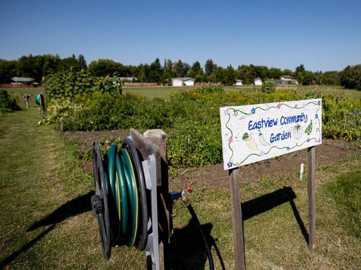 Woman charged in Saskatoon community garden assault appears in court