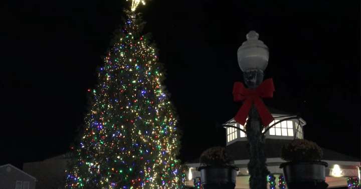 Rehoboth Beach seeks community Christmas tree donation