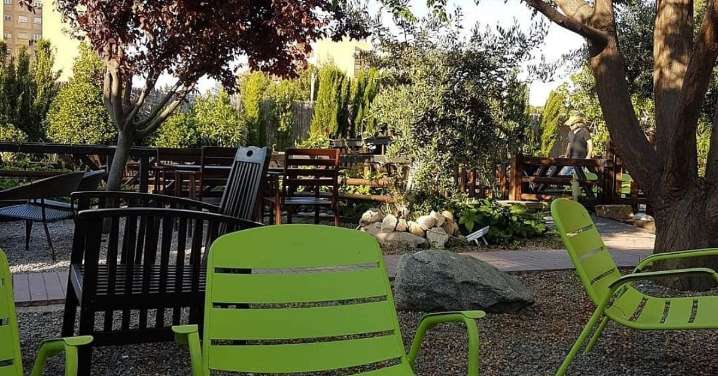 El bar de moda en Zaragoza con terraza chill out y dog-friendly: “Un sitio escondido al que volveremos”