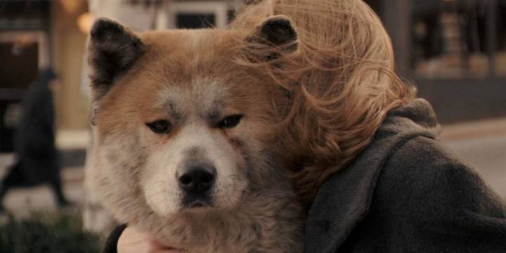 30 Sad Movies That Will Make Want to Hug Your Dog