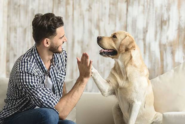 ¿Qué significa hablar con los perros?