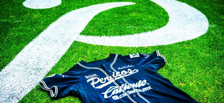 Pericos desplumados