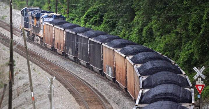 CSX has no suitors for a rail merger; some companies say no more mergers needed