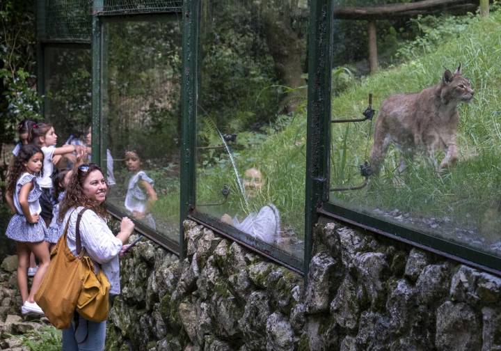Aluvión de muestras de apoyo al zoo de Santillana del Mar