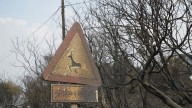 Los incendios ponen en jaque las carreteras en mitad de la Operación Salida: "Hay que esperar o dar la vuelta"