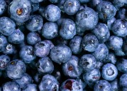 Blueberry Festival in Ellenville this Saturday