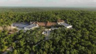 La Gran Selva Maya será un corredor biocultural, pese a la ampliación del Tren Maya en Guatemala