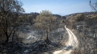 Protección Civil señala una "evolución favorable" de los incendios con 15 activos