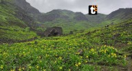 Santuario de Amancay: un tesoro natural de nuestra ciudad