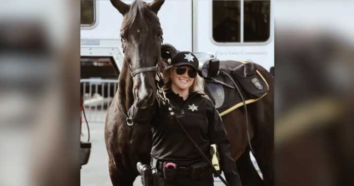 Sheriff's office horse Hogan retires after 17 years of service to Wayne County