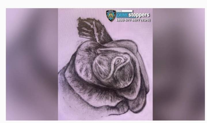 Cadáver de mujer en bolsa de basura: macabro hallazgo en autopista en Queens, Nueva York