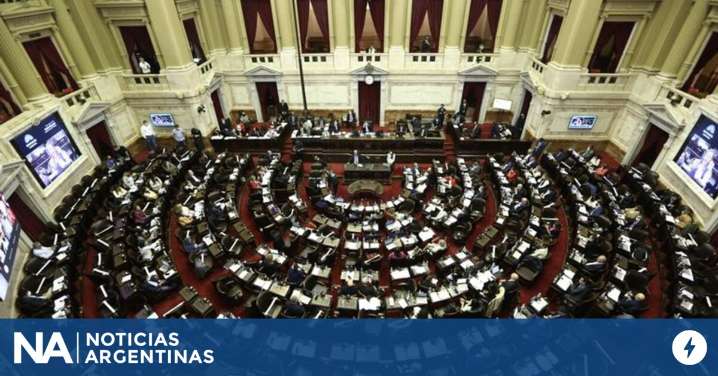 Diputados debate el veto de Milei a la ley de emergencia en Discapacidad y la oposición busca dar el golpe