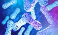 El gut microbiome: la conexión entre las bacterias intestinales y enfermedades crónicas