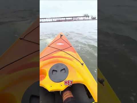 ‘WHALE OF A TALE’: Tourist captures moment two beluga whales swim around her kayak #shorts #news