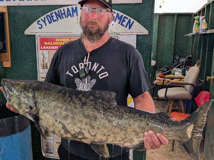 Salmon caught off the wall narrowly misses the big prize