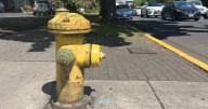 EWEB looks to transfer fire hydrant ownership from the City of Eugene to the utility