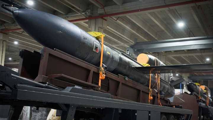 Ukraine fires new 'Flamingo' missile that can strike Moscow for the first time after it was 'inspired by British bomb'