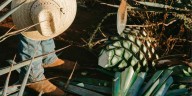 Alertan a mezcaleros ante  presuntos fraudes con créditos