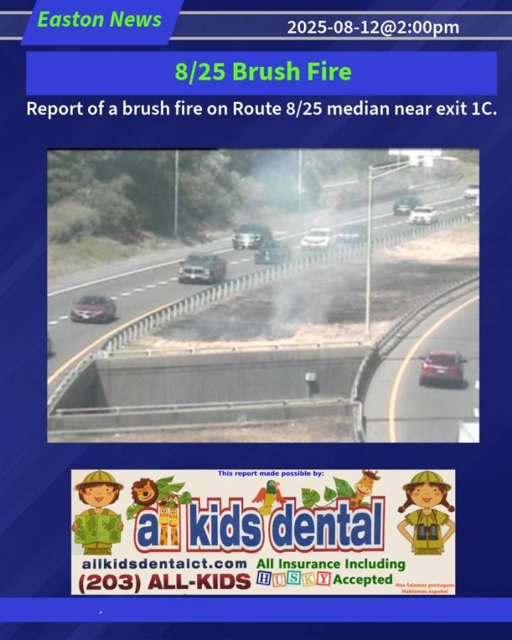 8/25 Brush Fire