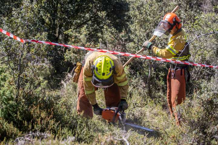 Arag-Asaja pide una nueva política forestal
