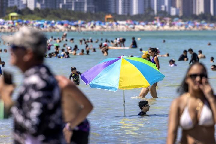 Suben a ocho las muertes en Estados Unidos por una bacteria carnívora presente en el mar