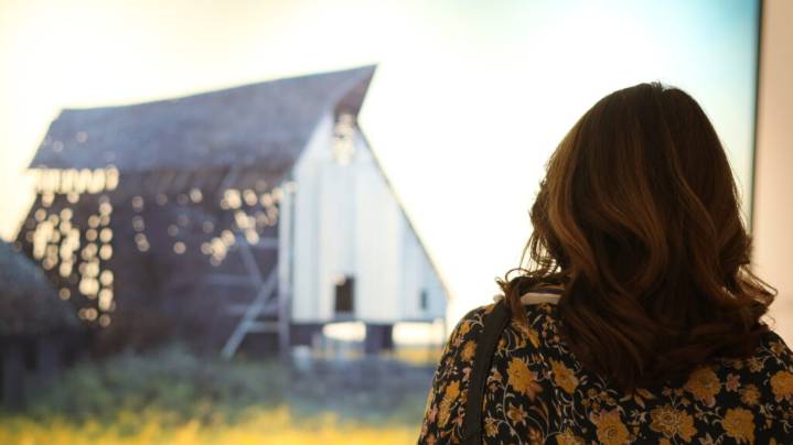 Art Beat: Collected and curated, drawing lessons and more