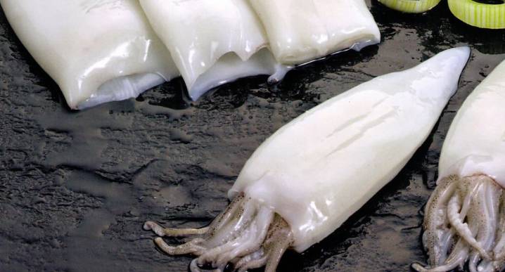 Pesca de pota en el Perú se reiniciará desde el 25 de agosto: la cuota que falta