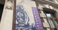 Mütter Museum opts to keep human remains on display after contentious ethical review